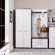 Hallway design in white color-1