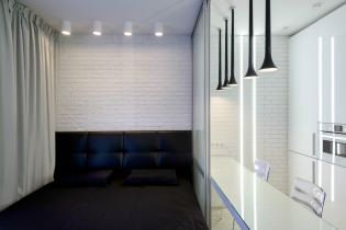 Kitchen and bedroom interior in one room