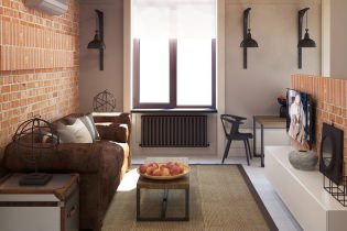 Interior design of an apartment of 37 sq. m. in loft style