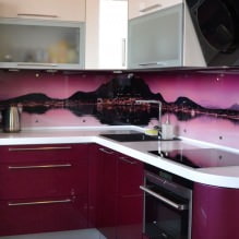 Kitchens from skinali: features, photo-7