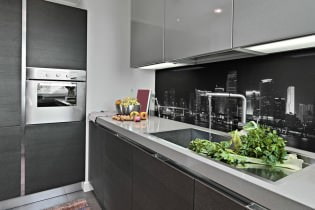 Kitchens from skinali: features, photos