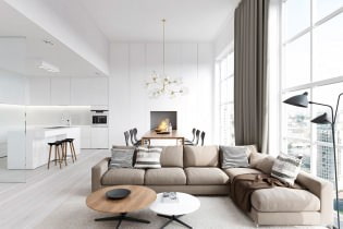 Kitchen-living room in white: features, photos